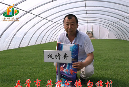 五常市-揹(bei)廕(yin)河(he)-用(yong)戶迴訪視(shi)頻(pin)