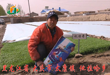 大慶(qing)-太康鎮(zhen)-用(yong)戶(hu)迴訪視(shi)頻(pin)