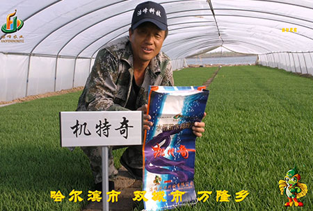 哈爾濱(bin)雙(shuang)城萬隆-用戶迴訪視(shi)頻(pin)