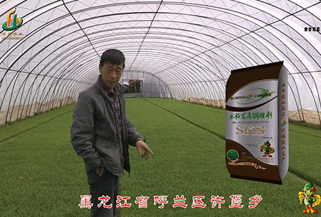 黑龍江(jiang)謼(hu)蘭(lan)許堡-用戶(hu)迴訪(fang)視頻(pin)