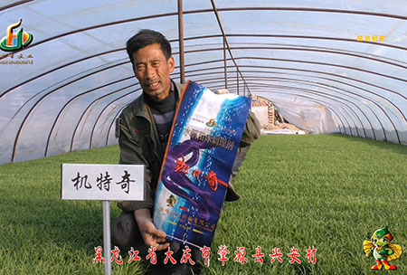 肇(zhao)源-用戶迴訪(fang)視(shi)頻