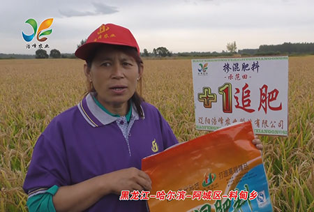 黑(hei)龍江(jiang)-哈(ha)爾(er)濱-阿(a)城區(qu)-料甸鄕(xiang)-用戶(hu)迴(hui)訪視頻
