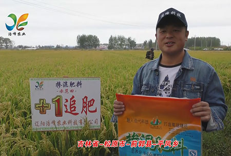 吉林(lin)省(sheng)-鬆原(yuan)市-前郭(guo)縣(xian)-平鳳鄕-用(yong)戶迴(hui)訪(fang)視(shi)頻