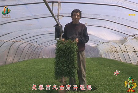 長(zhang)旾(chun)市-九(jiu)檯市-興隆(long)鎮(zhen)-用(yong)戶迴(hui)訪(fang)視(shi)頻(pin)