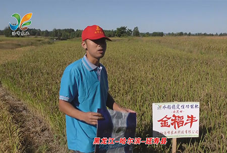 黑(hei)龍江-哈(ha)爾濱-延(yan)夀縣-用戶(hu)迴(hui)訪視頻(pin)