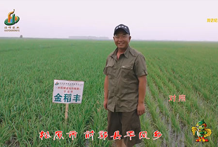 鬆(song)原(yuan)市-前(qian)郭縣(xian)-平鳳鄕-用(yong)戶迴訪視頻(pin)