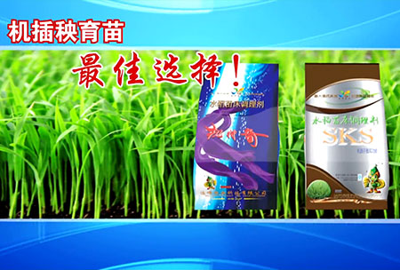 新一代(dai)苗(miao)牀調理(li)劑