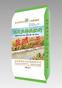 鹽(yan)堿(jian)二號（水(shui)稻(dao)）
