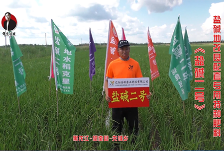 黑龍江(jiang)-朢(wang)奎(kui)縣-先鋒鄕