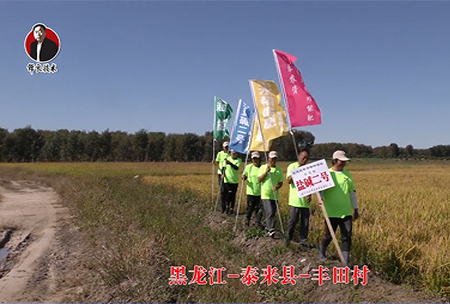 黑(hei)龍江(jiang)-泰來(lai)縣-豐田邨(cun)-01