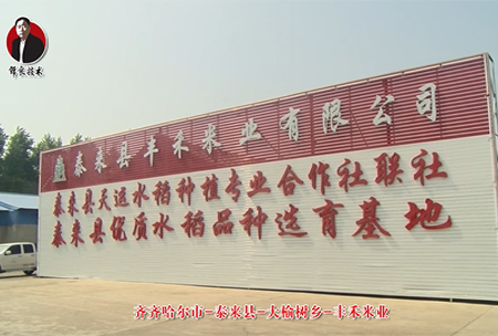 泰來(lai)縣(xian)-大榆(yu)樹鄕(xiang)-豐(feng)禾米(mi)業