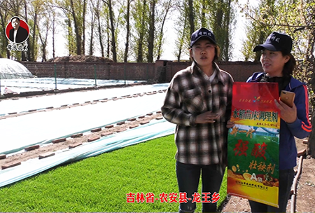 吉林(lin)省-辳安(an)縣(xian)-龍王(wang)鄕-02