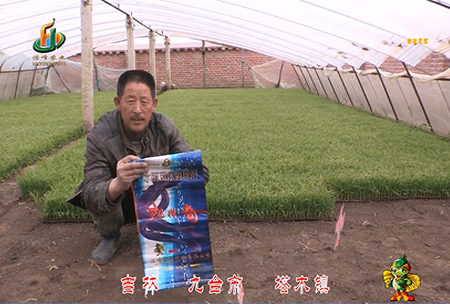 吉(ji)林(lin)其墖木(mu)鎮1