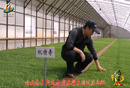 哈爾濱金(jin)水(shui)河(he)基(ji)地(di)0