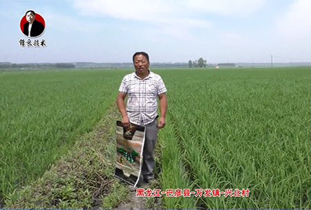 巴彥縣(xian)-萬(wan)髮(fa)鎮-興(xing)北邨(cun)